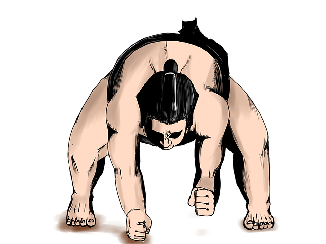 sumo-wrestling-2987725__480-2882370