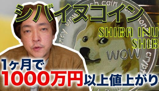 仮想通貨 話題のシバイヌコイン SHIBA INU  30万円が1億4000万 SHIB DOGE 暗号資産