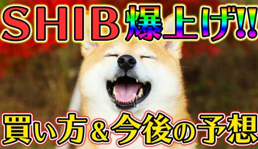 【激アツ】SHIBA INU(柴犬)コインが急上昇！購入すべき？買い方と運用方法を解説！