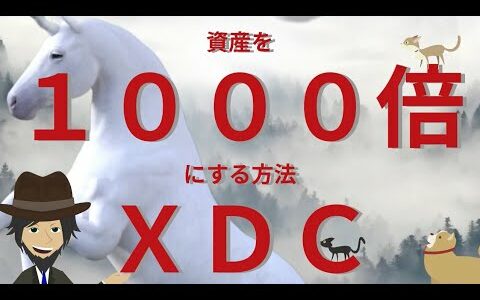 #ＸＤＣ#ジンフィン#XinFin 資産を１０００倍にする方法？ＸＤＣ（XINFIN)