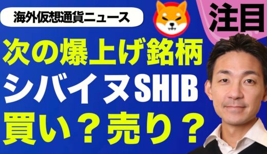 シバイヌ(shiba inu)爆上げ‼️🚀買うべき？売るべき？