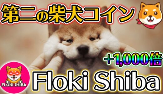 今話題の「Floki Shiba」で億り人になれる？買い方など解説！【第2のSHIBA INU(柴犬)コインを探せVol.3】