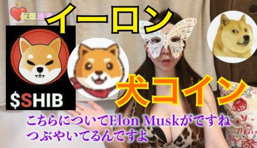 Akita Inu（AKITA）❎ポルカドット と SHIBA INU（SHIB）イーロン爆上げ ！犬コイン　ドージコイン　Dogecoin（DOGE）