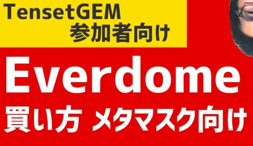 Tenset GEM 参加者向け　メタマスク　Everdome買い方　テンセット　エバードーム　プレセール