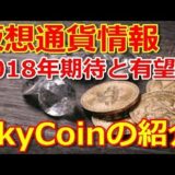 2018年有望と期待の【仮想通貨】SKYCOIN（スカイコイン）の特徴と将来性の可能性