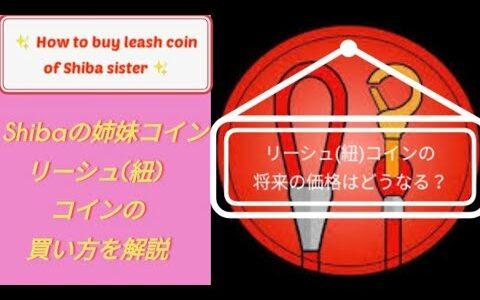 ShibaSwap ( SHIB inu  柴 ) リリース間近❗❗リーシュトークン(Leash)の購入方法の解説。