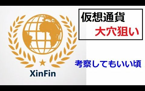 【仮想通貨】XinFinネットワーク (XDC)は儲かるのか？