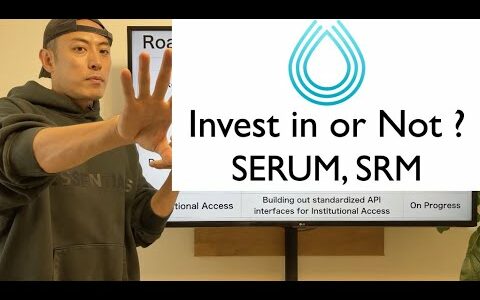 【Score Updated #1】Invest in or Not? - Serum,SRM -