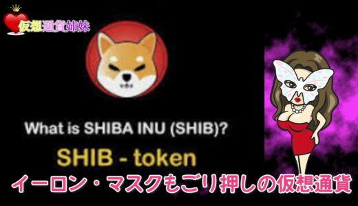 【仮想通貨 DeFi】SHIBA INU（SHIB）バイナンス上場！犬コインムーン！芝犬コイン！次は秋田か？ドージコインコインベース上場