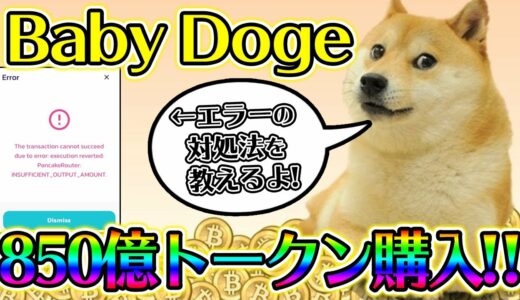 Baby Doge Coinを850億トークン購入！エラーの対処法も解説！【第2のSHIBA INU】【柴犬コイン】