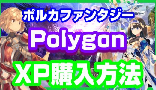 【ポルカファンタジー】PolygonチェーンのXP購入方法と簡単な解説【初心者解説】