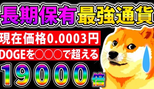 【約0.0003円】あのDOGEを○○○で超えた...話題性・海外人気も抜群な長期保有にぴったりな激熱銘柄！【仮想通貨】