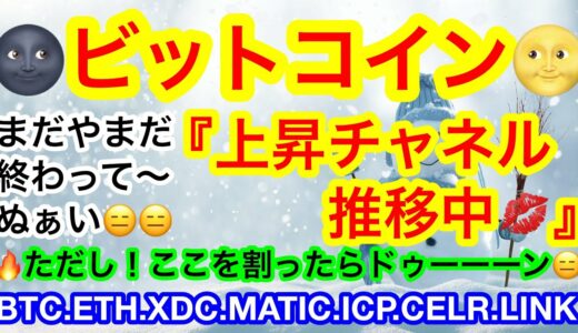 💋かなりの大幅下落だが❗️しかーーしまだ上昇の芽は摘まれていない💋あの中をまだまだ推移中や💖【仮想通貨 BTC.ETH.XDC.MATIC.ICP.CELR.LINK】