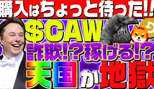 【CAW】$CAW購入は危険!?実は詐欺だった!?天国か地獄の真相を暴露します!!【A Hunters Dream】【DOGE】【SHIB】【仮想通貨】【イーロンマスク】