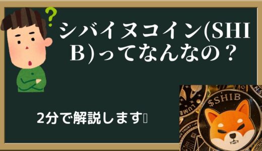 【投資2分解説】柴犬コインについて2分で解説します