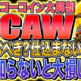 【謎多き仮想通貨CAW】イーロンマスクに騙されるな！CAWの３つの謎の真相＆買ってはいけない理由徹底解説！！！！【柴犬】【DOGE】【コーコイン】