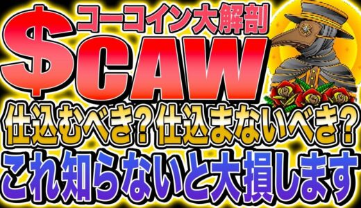 【謎多き仮想通貨CAW】イーロンマスクに騙されるな！CAWの３つの謎の真相＆買ってはいけない理由徹底解説！！！！【柴犬】【DOGE】【コーコイン】