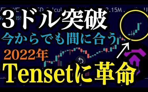 【Tenset】価格爆上げ中！このコインは2022年の覇権を握る理由を解説します