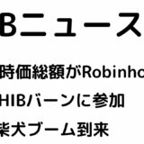 SHIBの時価総額がRobinhoodを超える！9社がSHIBバーンに参加！中国で柴犬ブーム