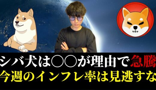 【大荒れ予報】シバ犬コインが急騰した理由、ビットコインはインフレ発表控えながらも堅調