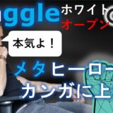 メタヒーローがカンガに上場！今後の展開は？＋ワグル「Waggle」資産自由化プロトコル、ホワイトリストオープン！【仮想通貨】解説！