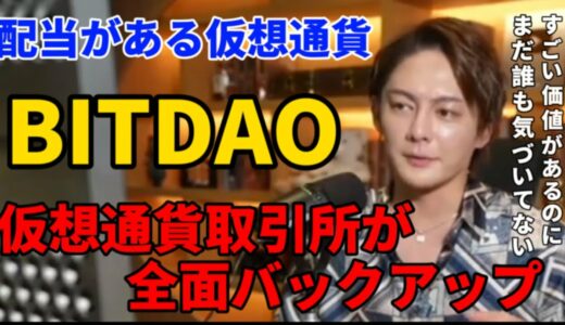 【フルテロップ】仮想通貨BitCoinやBITDAO、Bananaなど3億円以上保有している大口投資家が今後の展望を語る