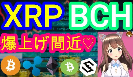 04/02【仮想通貨】BTC&ETH&XRP&BCH&IOST相場分析♡毎日聞くだけで勝率UP♪寝る前や通勤中に♡