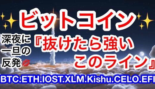 💋上にグッと行こう‼️グッと💋今年もあと1ヶ月半✨最後の最後に大台突破で年越しして欲しいんです🎍【仮想通貨 BTC.ETH.IOST.XLM.Kishu.CELO.EFI】