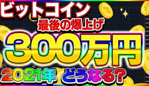 【仮想通貨】ビットコイン20万円の爆益！年内に300万円！2021年は下落！？