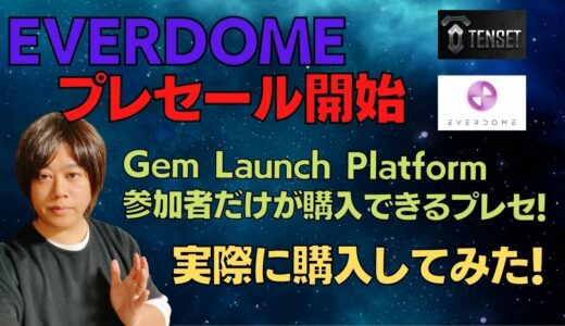 EVERDOME（TENSET側プレセ）購入してみた！EVERDOMEトークン追加方法解説