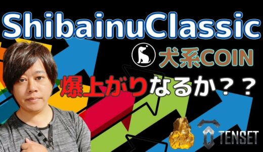 TENSET INFINITY銘柄のゴールドスポンサー「Shibainu Classic」とは？