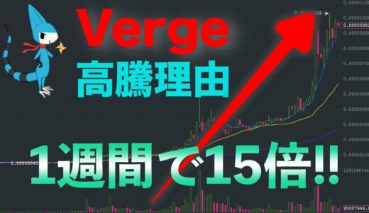 仮想通貨【Verge(XVG)高騰理由】1週間で15倍 ファイナンシャルプランナー FP