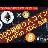 1000倍億り人コイン?XinFin XDC 急騰20220430