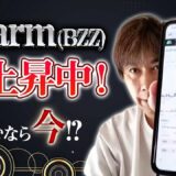 Swarm(BZZ)上昇中！仕込むなら今しかない！！