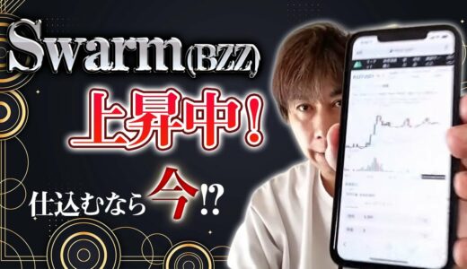 Swarm(BZZ)上昇中！仕込むなら今しかない！！