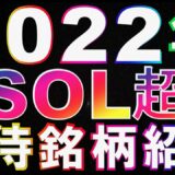 仮想通貨　2022年Solana(SOL)超え？期待銘柄紹介