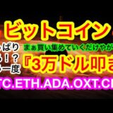 💋ビットコインは4万ドルの節目で粘る‼️ロシアがウクライナ侵攻すると❗️❓価格の大幅下落には要注意‼️マンガー劇場再び😑【仮想通貨 BTC.ETH.ADA.OXT.CHZ】