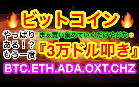 💋ビットコインは4万ドルの節目で粘る‼️ロシアがウクライナ侵攻すると❗️❓価格の大幅下落には要注意‼️マンガー劇場再び😑【仮想通貨 BTC.ETH.ADA.OXT.CHZ】