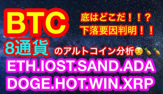 【仮想通貨 BTC.ETH.IOST.SAND.ADA.DOGE.HOT.WIN.XRP】ビットコインの下落要因判明❗️❗️たった１つのあれ❗️❓アルトコインは8通貨分析😊🍍下落は相場師の喜び👍