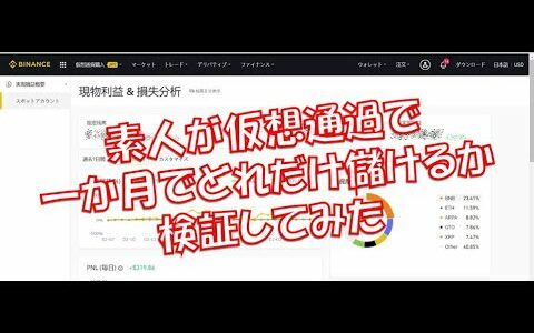 【検証】素人が仮想通貨で一か月でどれだけ儲けるか検証してみた