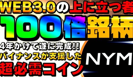 【上場に備えろ】4年かけて完成した､バイナンス仕込みのコインリスト銘柄！洗練された最強プロジェクト【仮想通貨】【NYM】