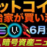 あの政治家までも隠れてビットコイン買い漁ってた事が判明👀🔥 Polygon, Sonala, Vegaなど6月に注目のコインアップデート！（ポリゴン無敵説）