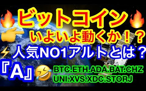 ⚡️🇺🇸e-Toroで人気NO1アルトは❗️❓高級ホテルで40種類以上の仮想通貨支払いが‼️ 【仮想通貨 BTC.ETH.ADA.BAT.CHZ.UNI.XVS.XDC.STORJ】