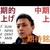 仮想通貨IOST,エンジンコイン,NEM,リップル,ステラルーメン,NPXS,DENT,AMB2021年3月29日銘柄分析