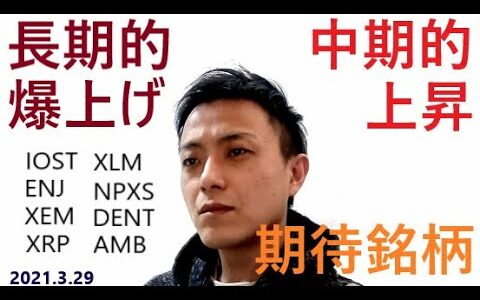 仮想通貨IOST,エンジンコイン,NEM,リップル,ステラルーメン,NPXS,DENT,AMB2021年3月29日銘柄分析