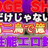 【億れる仮想通貨】ある分野のコンテンツ独占にして独壇場！イロモノだけど性能最強！ENJIN開発者チームが開発