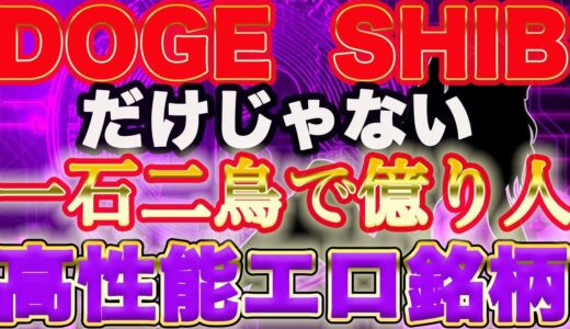 【億れる仮想通貨】ある分野のコンテンツ独占にして独壇場！イロモノだけど性能最強！ENJIN開発者チームが開発