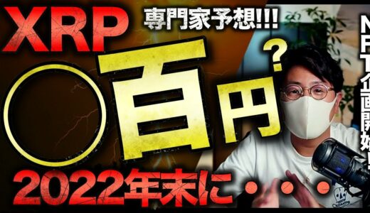 XRPリップルの2022年末価格予想がやばい。ビットコインまだ下げる？