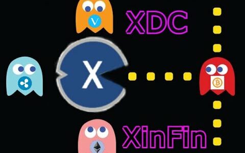 XinFin   XDCはスティーブ・マックィーン・コイン　　動画④