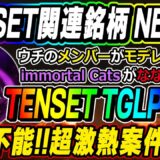 【ImmortalCatがTENSET TGLP NFTに！】ガチで不労所得GET！以前紹介したイモータルキャットが爆上げの予感！[tenset関連銘柄NEWS]